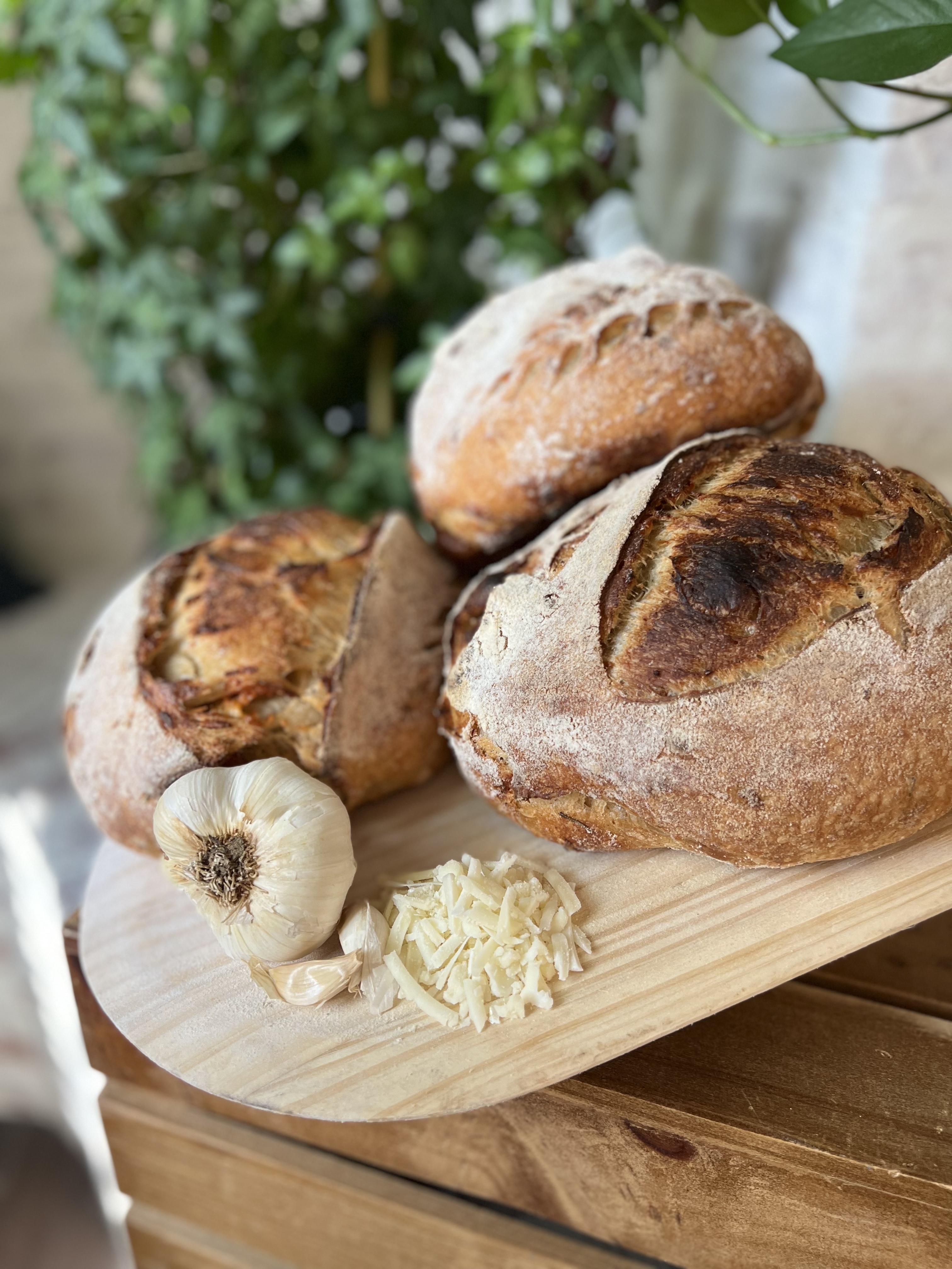 Garlic Rosemary Sourdough Bread